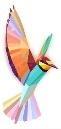 Bird Wheel Creative Arts Live Wallpaper
