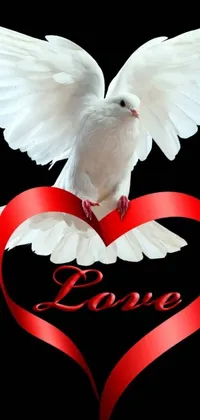 This phone live wallpaper features a stunning white dove sitting atop a bright red heart