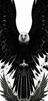 eagle black and white wallpaper