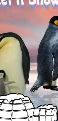 This lively phone wallpaper showcases a delightful scene of penguins beside an igloo