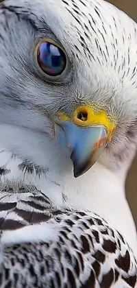 This bird-themed live wallpaper will add an aura of tranquility and serenity to your phone