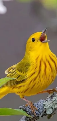 This lively live wallpaper features a charming yellow bird perched on a tree branch