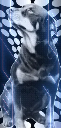 This phone live wallpaper features a black and white photograph of a tall, powerful-looking dog digitally enhanced with the chrome art style