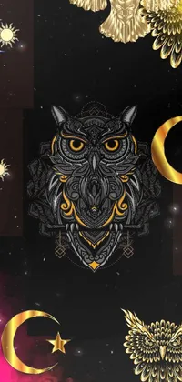 Black Great Horned Owl Font Live Wallpaper