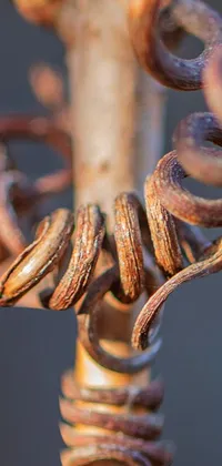 This phone live wallpaper showcases a captivating close up of a rusty object on a pole