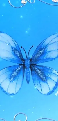 Blue Arthropod Butterfly Live Wallpaper