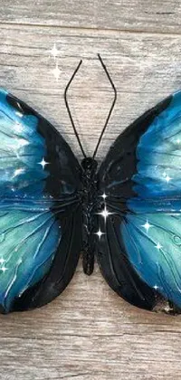 Blue Arthropod Butterfly Live Wallpaper