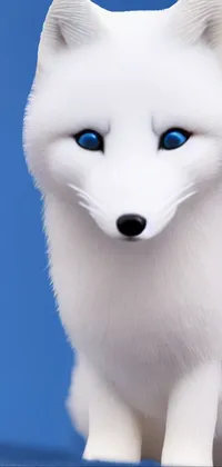 This is a stunning live wallpaper featuring a cute white dog with blue eyes sitting on a blue surface