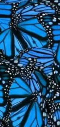 This live wallpaper features a group of blue monarch butterflies sitting on top of each other in digital art by an artist