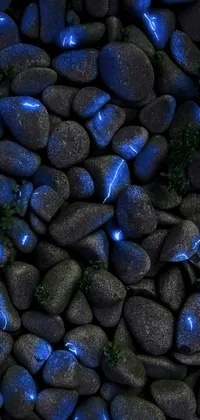 Blue Electric Blue Pebble Live Wallpaper