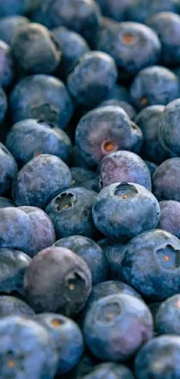 Blue Food Berry Live Wallpaper