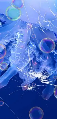Blue Jellyfish Marine Invertebrates Live Wallpaper