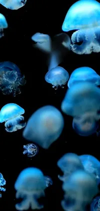 Blue Liquid Bioluminescence Live Wallpaper
