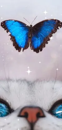Blue Liquid Butterfly Live Wallpaper