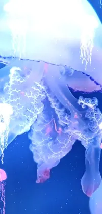 Blue Liquid Jellyfish Live Wallpaper