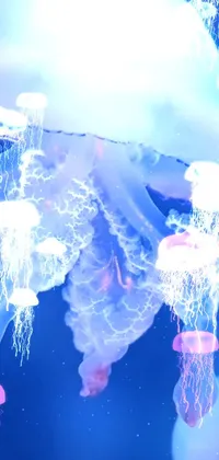 Swim with graceful jellyfish through an otherworldly aquarium with this stunning phone live wallpaper
