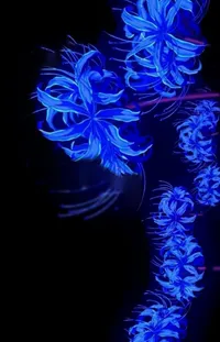 Blue Liquid Marine Biology Live Wallpaper