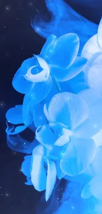 Blue Petal Flower Live Wallpaper