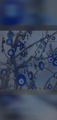 Blue Plant Azure Live Wallpaper
