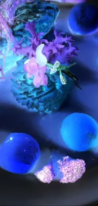 Blue Purple Flower Live Wallpaper