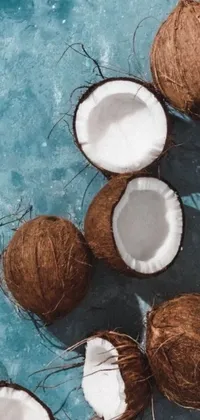This mobile live wallpaper features a group of coconuts resting on a serene blue surface
