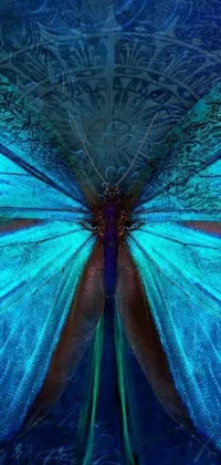 Blue Turquoise Butterfly Live Wallpaper