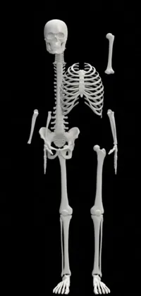 Bone Gesture Skeleton Live Wallpaper