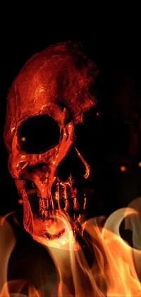 Skull Cyberpunk Wallpapers HD - Apps on Google Play
