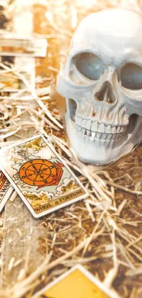 white scull Live Wallpaper