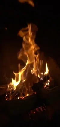 Bonfire Campfire Fire Live Wallpaper