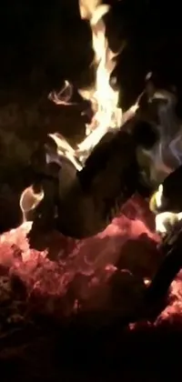This dynamic phone live wallpaper showcases a blazing fire in the dark, perfect for adding warmth and intensity to your device's screen