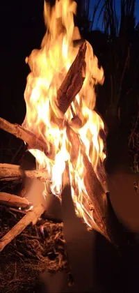 Bonfire Fire Campfire Live Wallpaper