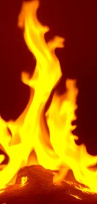 Enjoy the stunning phone live wallpaper capturing a close-up view of a fiery blaze on a wooden tabletop