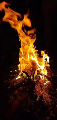 This phone live wallpaper depicts a hypnotic close-up of a fire in motion within a dark setting