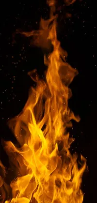 Looking for a captivating phone live wallpaper? Check out this stunning image featuring a close-up of a fire set against a sleek black background