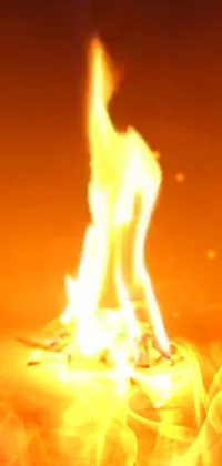 Bonfire Fire Flame Live Wallpaper