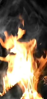 Bonfire Fire Flame Live Wallpaper