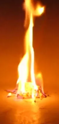 Bonfire Fire Heat Live Wallpaper