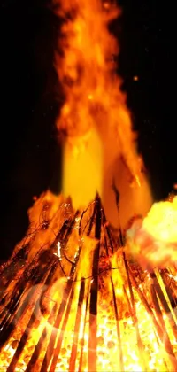 Bonfire Fire Heat Live Wallpaper