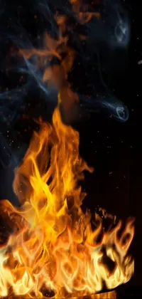 Bonfire Fire Water Live Wallpaper