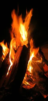 Bonfire Wood Flame Live Wallpaper
