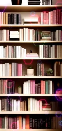 Bookcase Furniture Shelf Live Wallpaper