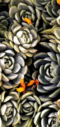 Botany Flower Art Paint Live Wallpaper