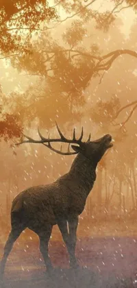 Enjoy a stunning digital art image of a majestic deer standing in a snowy autumn landscape with this live wallpaper