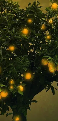 Branch Fruit Christmas Tree Live Wallpaper