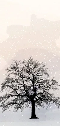 This phone live wallpaper showcases a beautiful winter scene with two trees standing in the snow