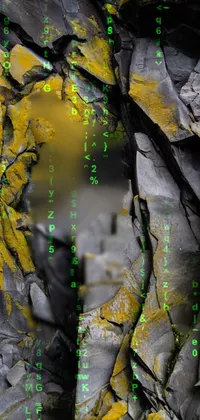 This live wallpaper features a close up of a yellow-painted rock with folded lines and beautiful natural forms, set against a dark slate gray wall in Scotland