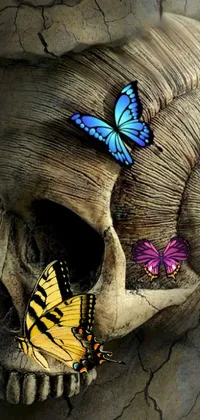 This live wallpaper for mobile devices features a detailed rendering of a skull with a butterfly perched atop