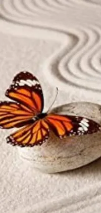 This minimalistic live wallpaper for phones features a peaceful butterfly perched on a rock amidst a serene landscape