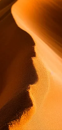 Experience the wonders of the desert with our stunning live wallpaper